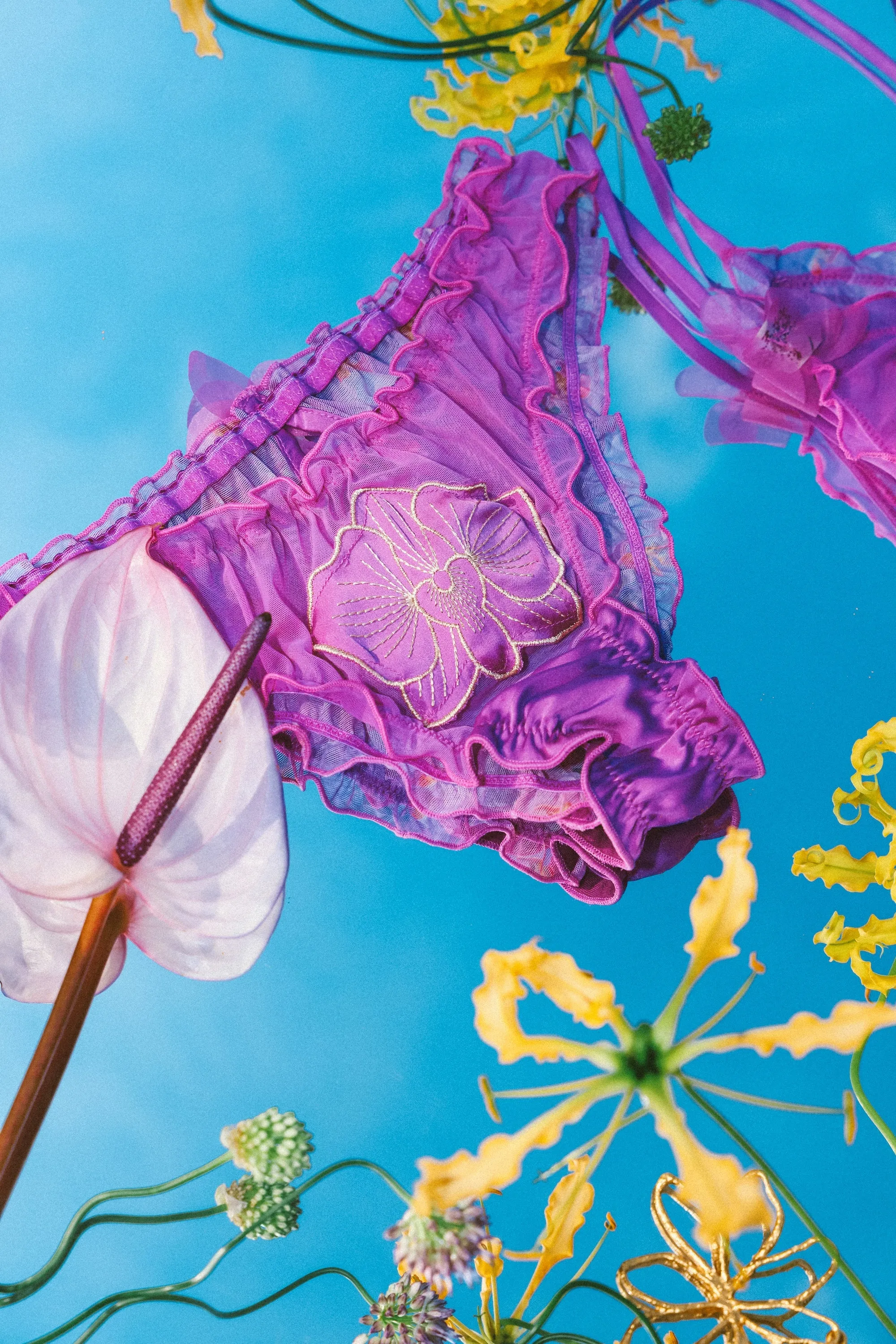 Orchidea Ruffled Brief