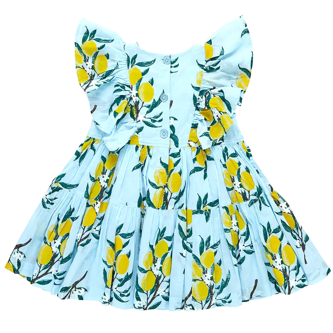 Pink Chicken Girls Raphaela Dress - Lemon Branch