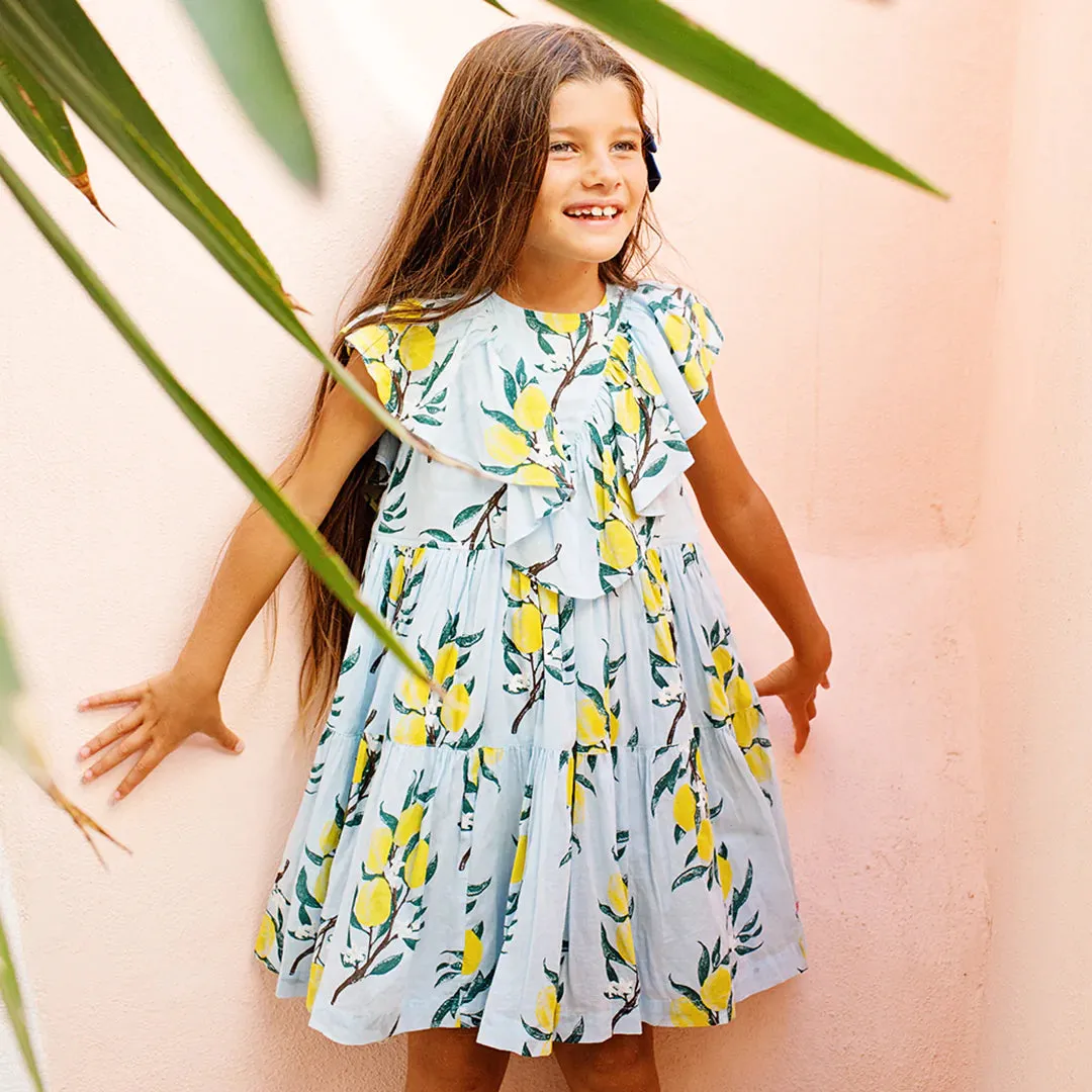 Pink Chicken Girls Raphaela Dress - Lemon Branch