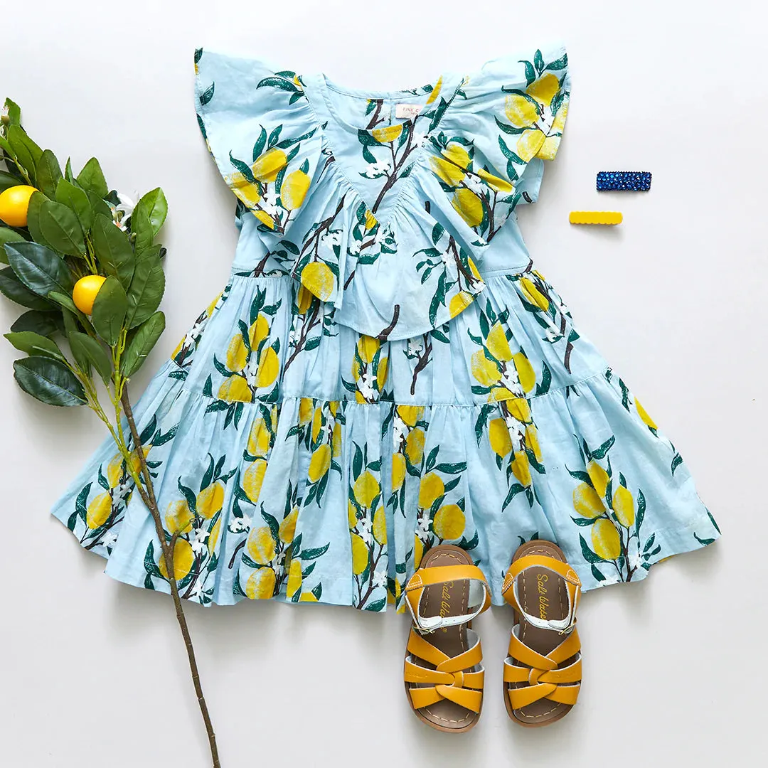 Pink Chicken Girls Raphaela Dress - Lemon Branch