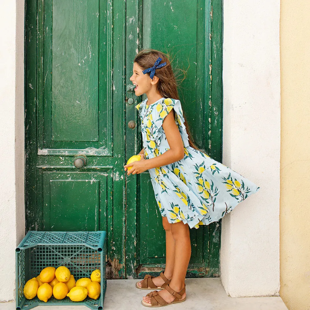Pink Chicken Girls Raphaela Dress - Lemon Branch