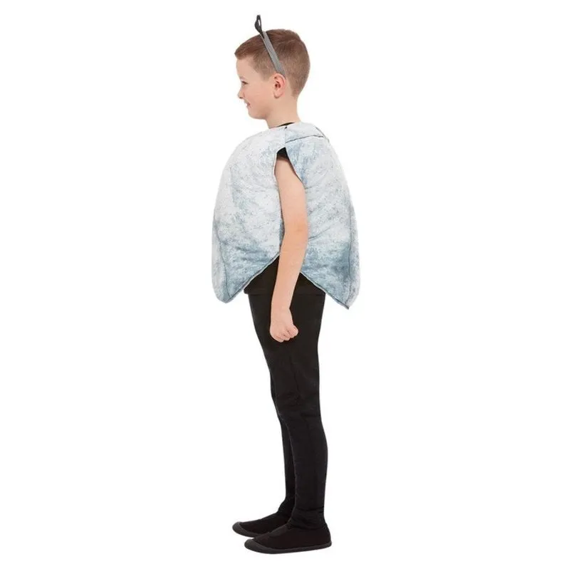 Rock Costume, Grey