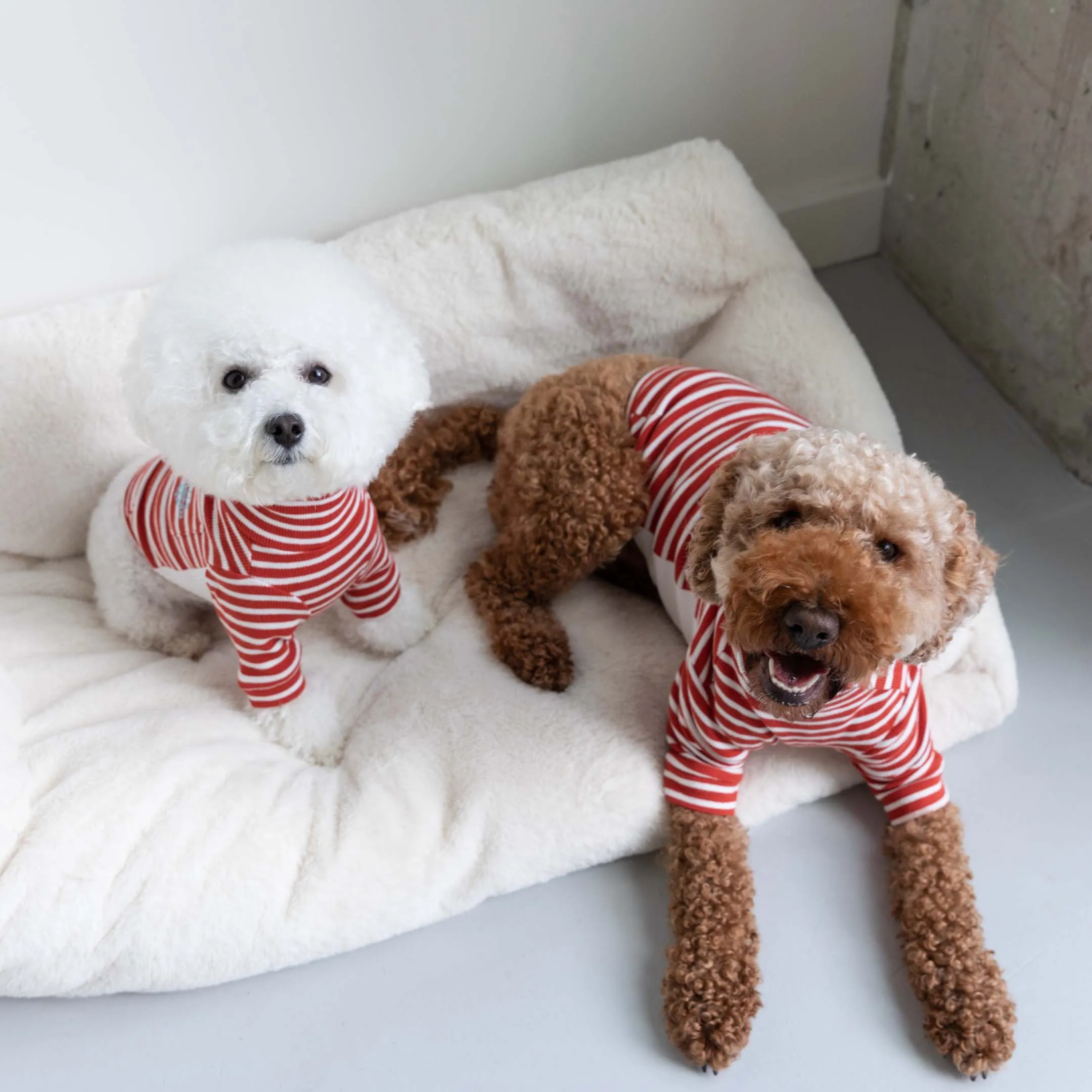Rust & Ivory Stripe