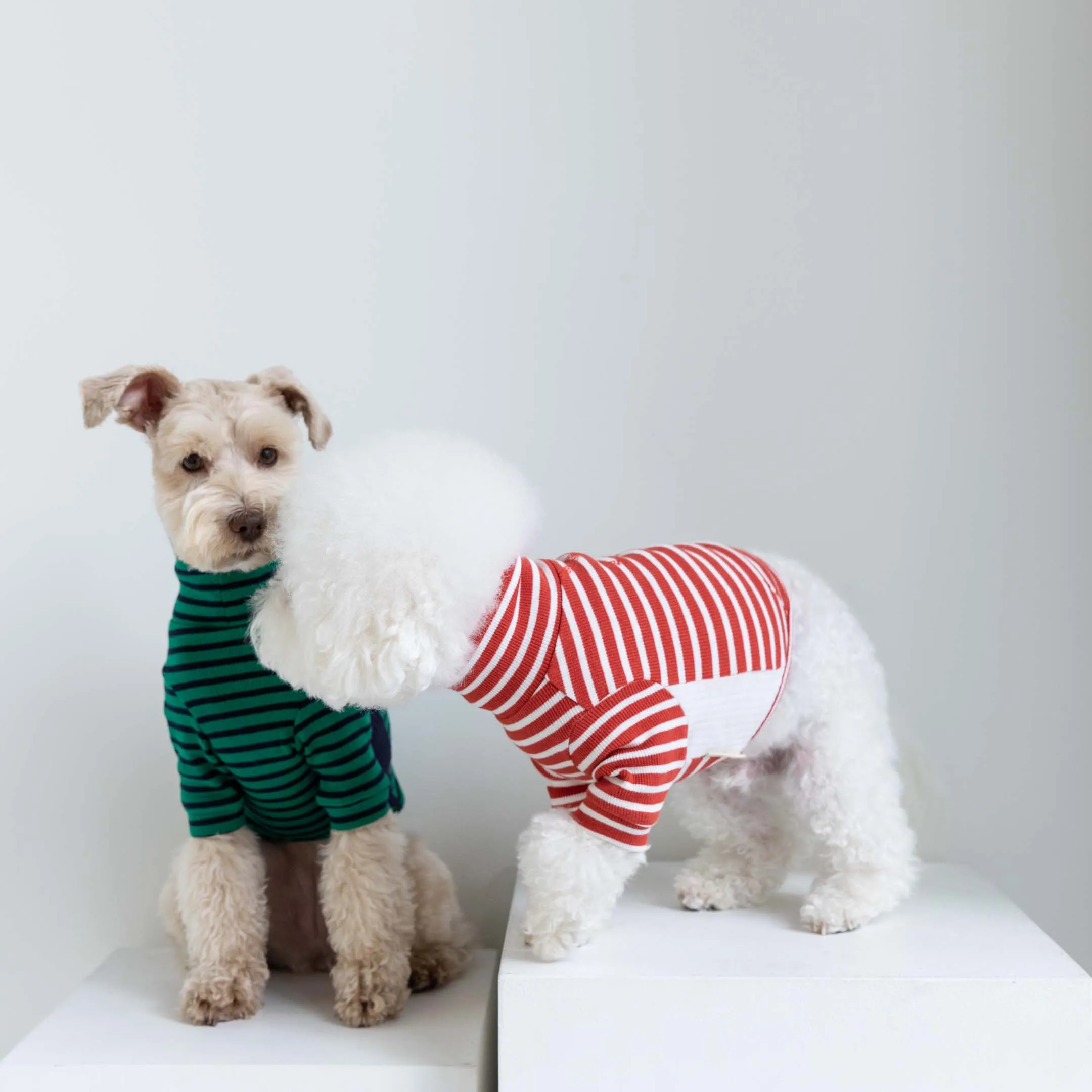 Rust & Ivory Stripe