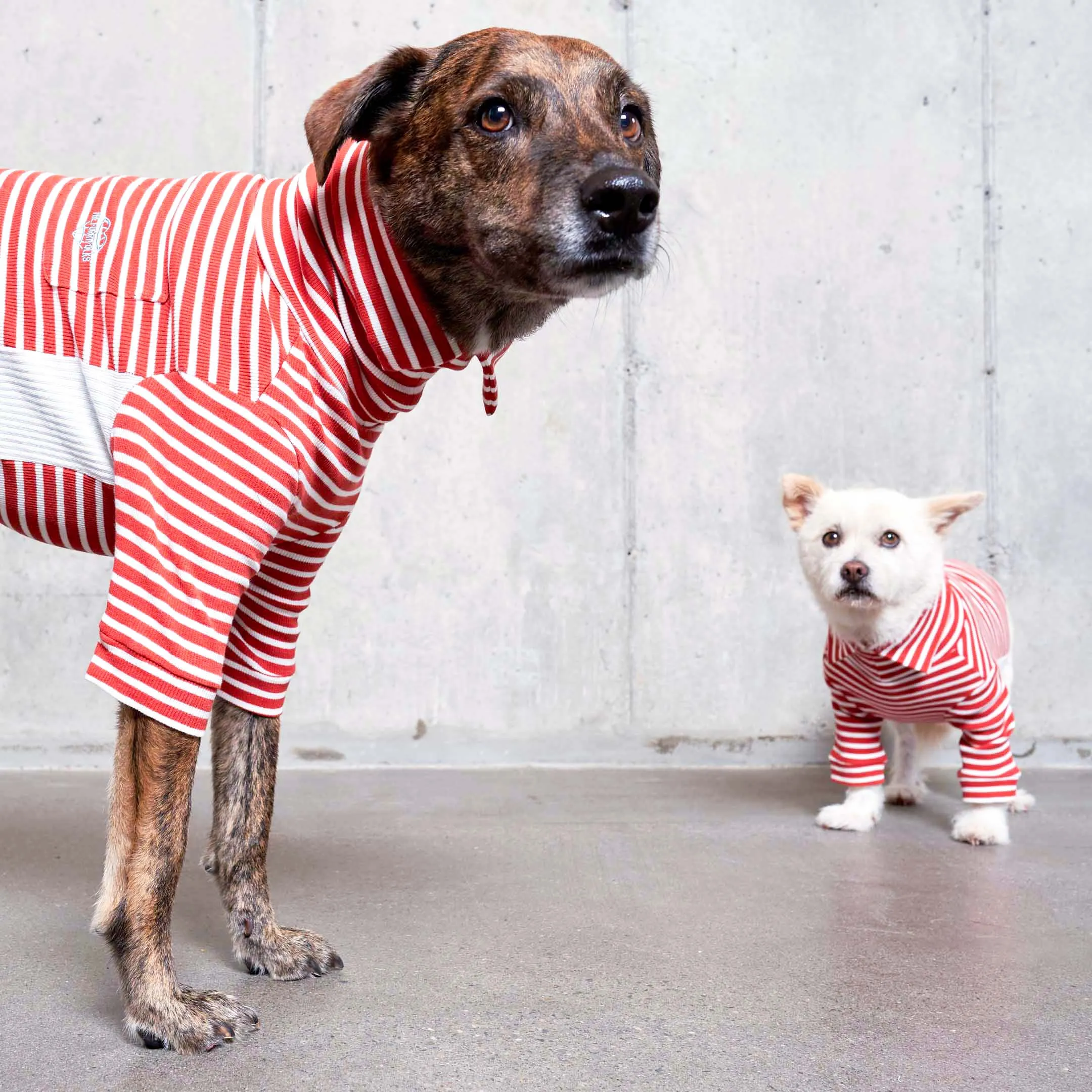Rust & Ivory Stripe