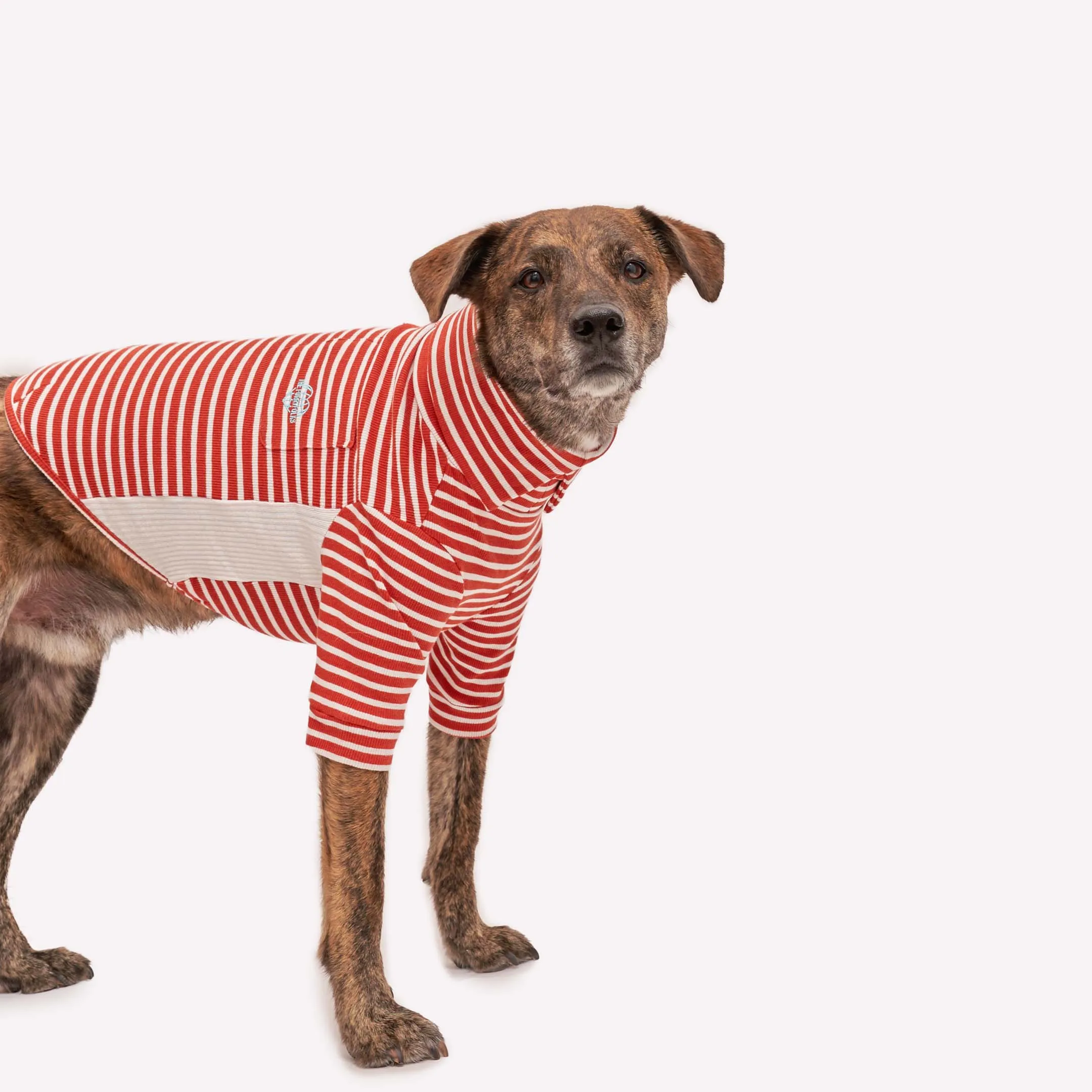Rust & Ivory Stripe