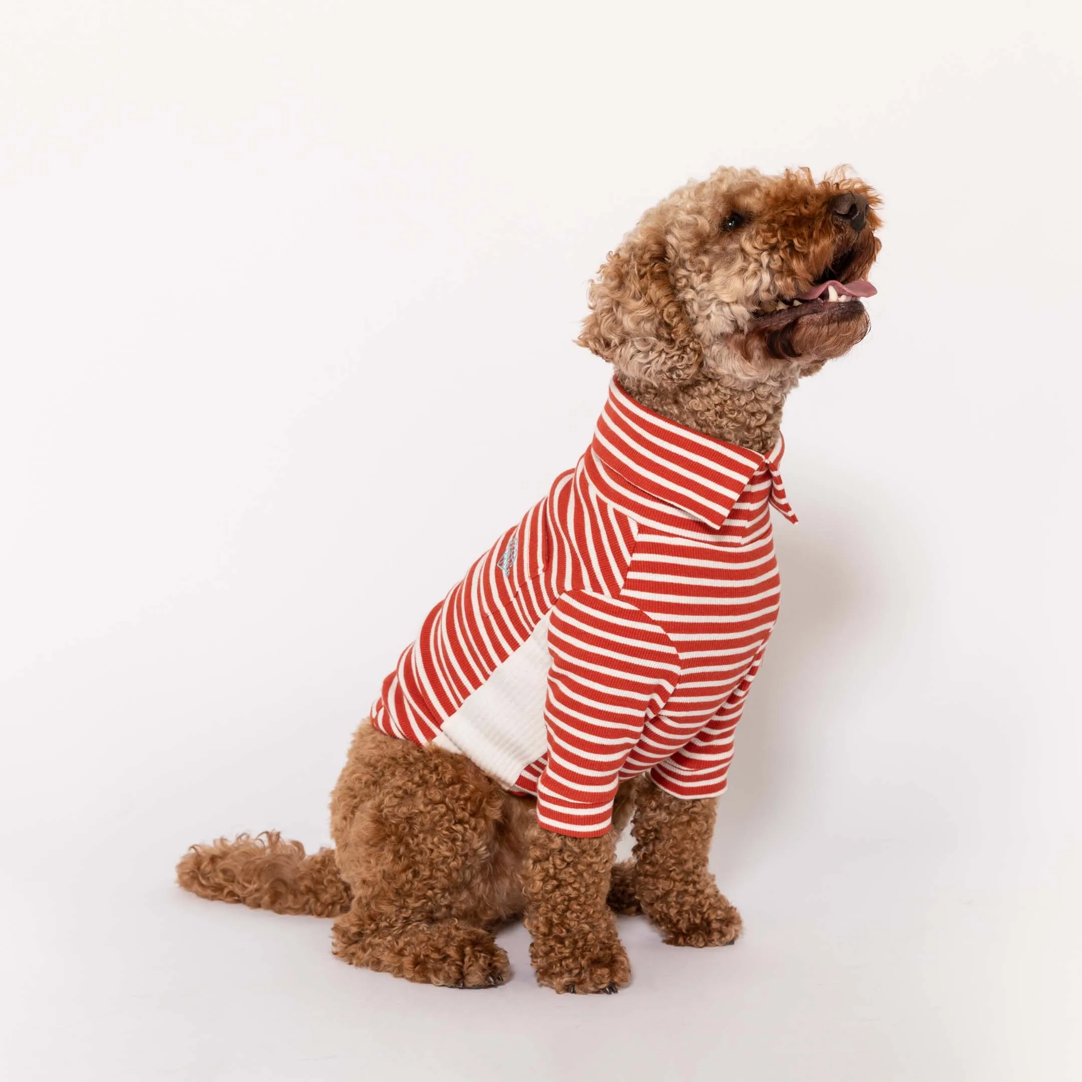 Rust & Ivory Stripe