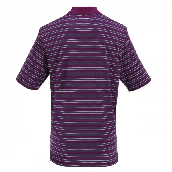 Striped Performance Polo