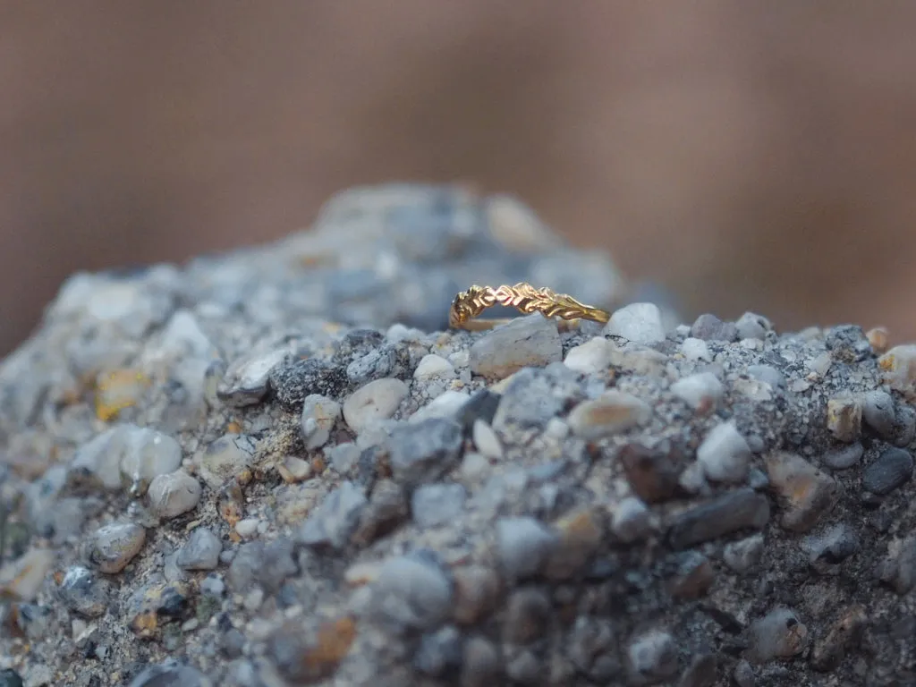 The Reverie Ring