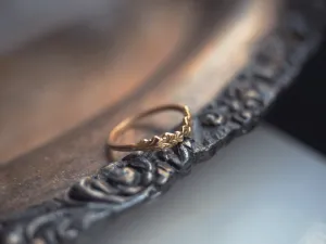 The Reverie Ring
